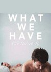 What We Have (2014).jpg